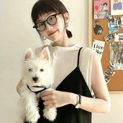 辛巴达与美人鱼公主