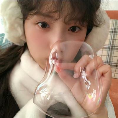 皇家飞凤